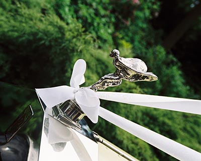 Rolls Royce for your carriage